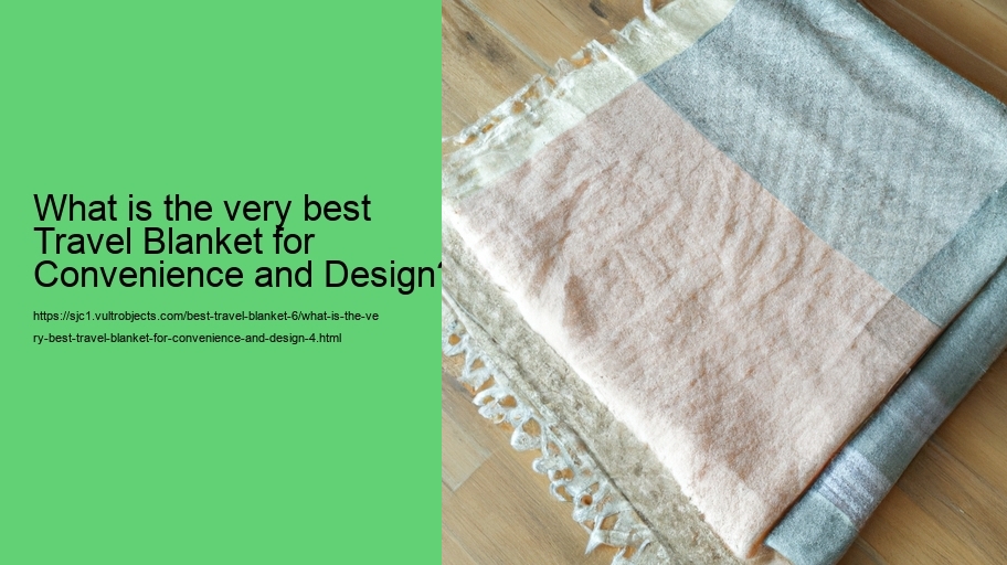 What is the very best Travel Blanket for Convenience and Design?
