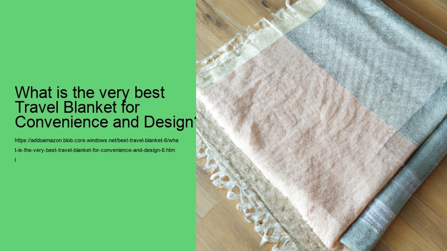 What is the very best Travel Blanket for Convenience and Design?